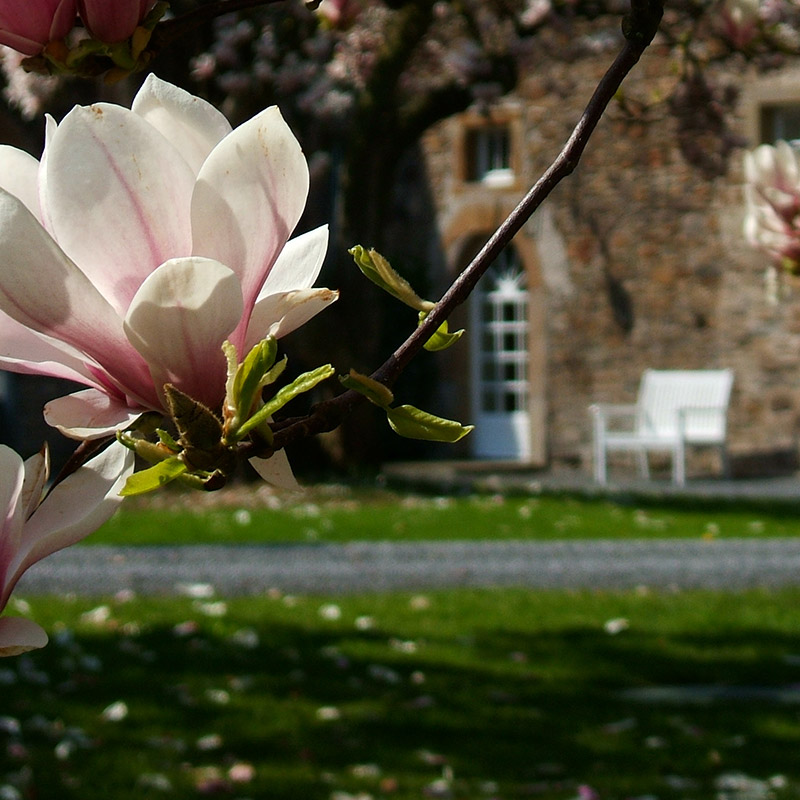 Schlosskonzert auf Ehreshoven