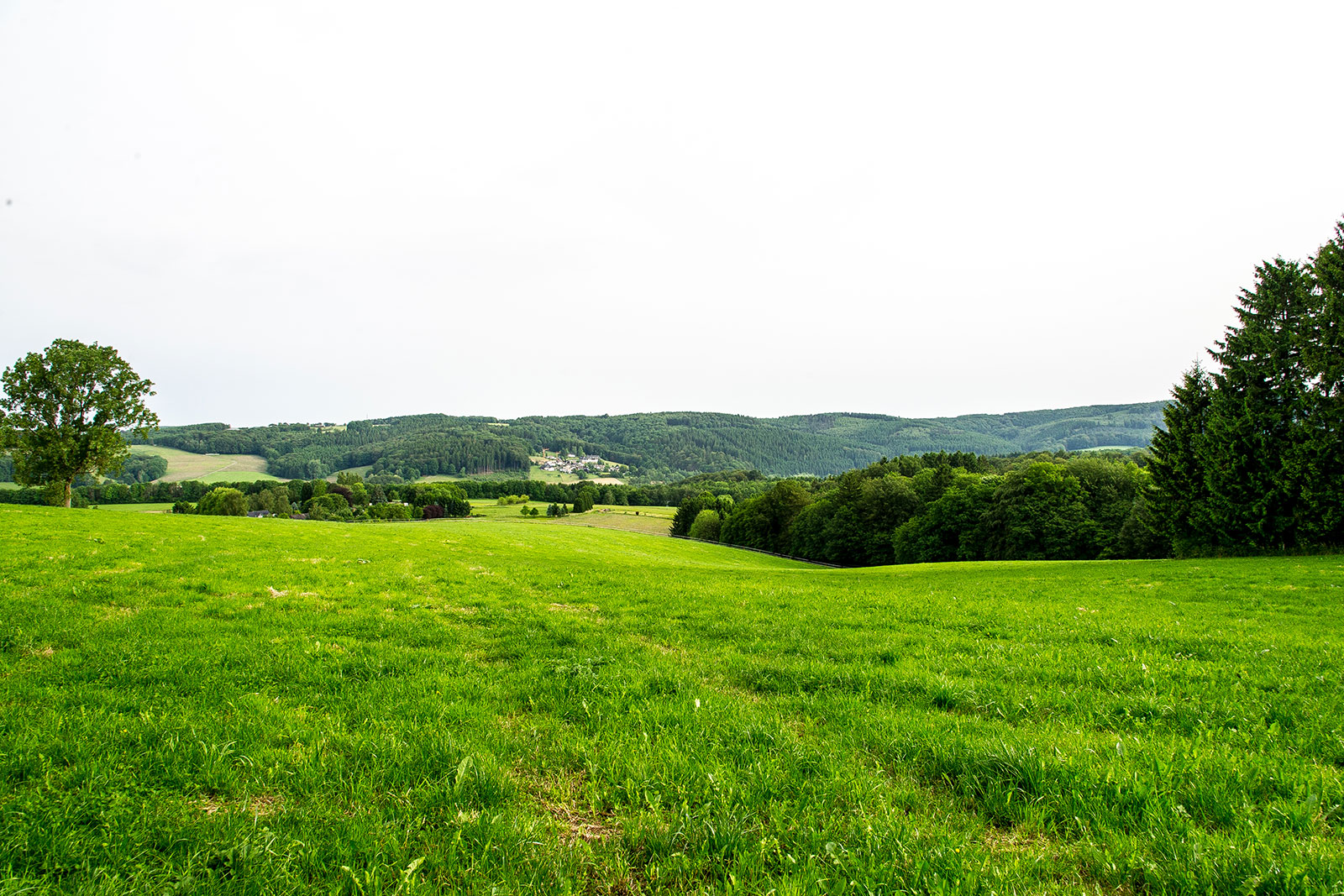 Ansicht Wuesen und Wälder Ehreshoven