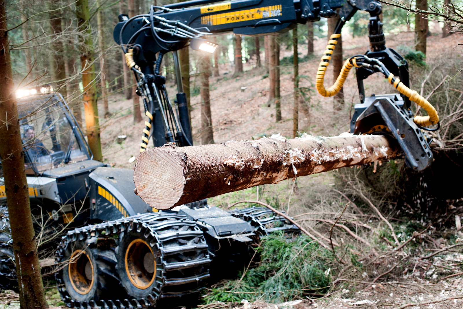 Forstmaschine im Wald bei Engelskirchen